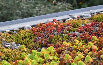 the cost of Eaglethorpe green roof installation