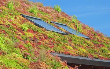 Eaglethorpe living roof systems