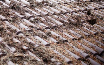 Eaglethorpe roof cleaning companies